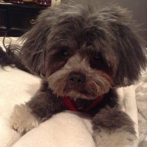 Meet your Posher, Virginia